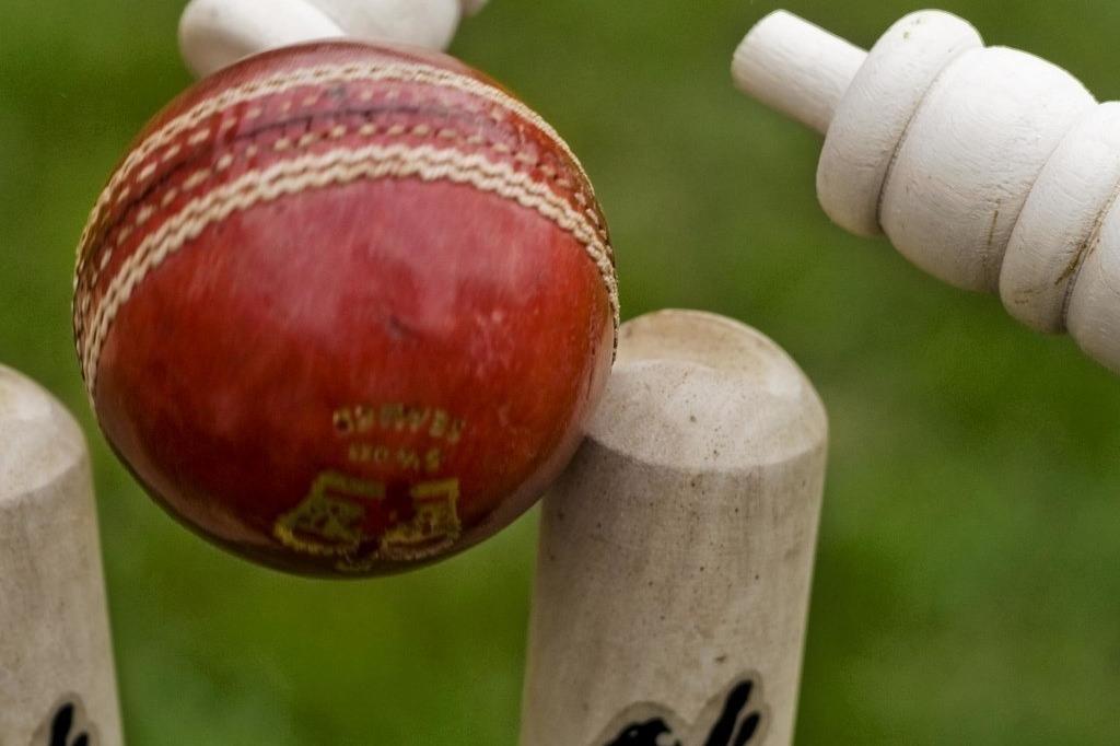 Cricket round-up: Halesowen and Himley emerge with wins