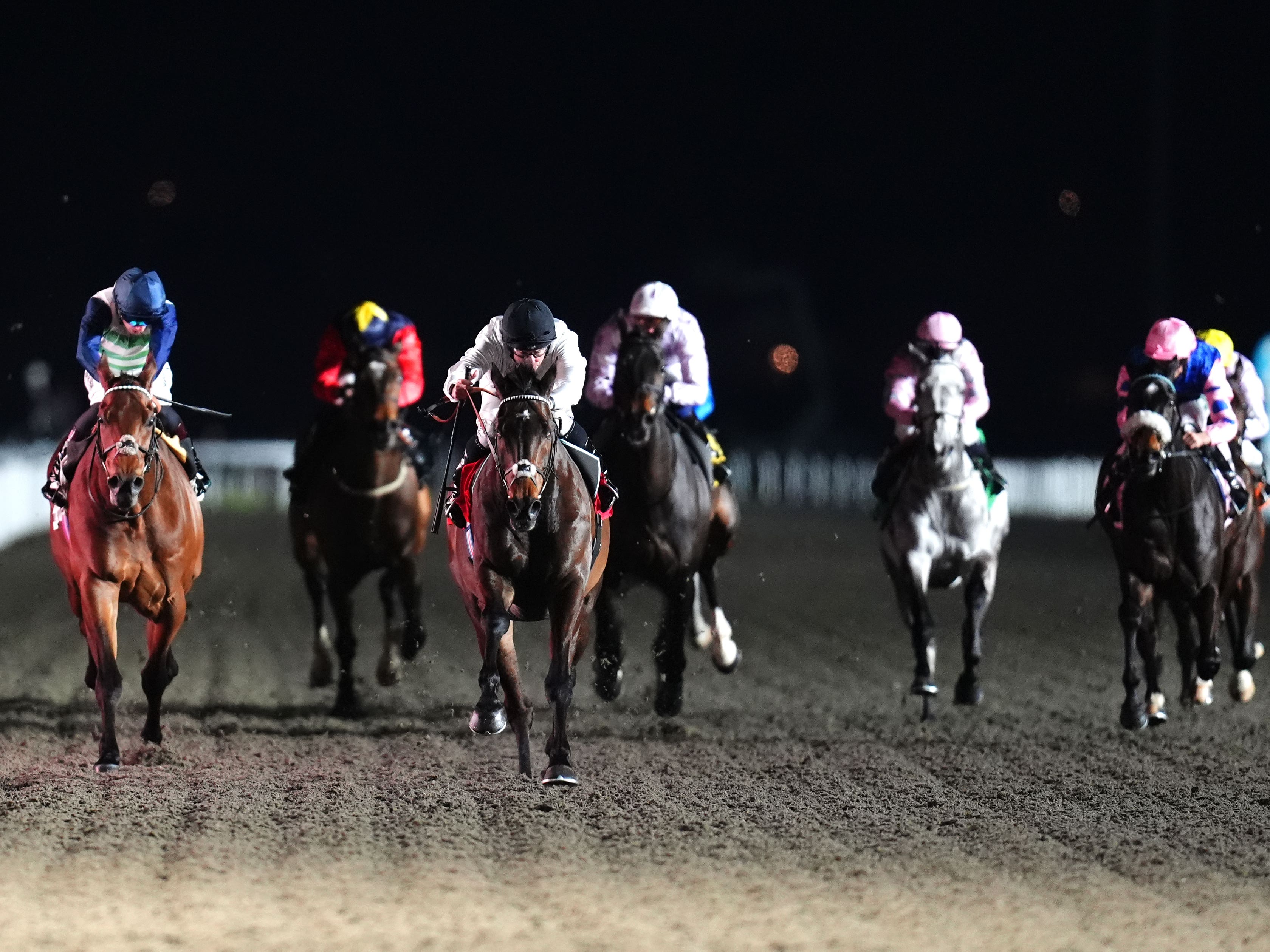 Constitution Hill set for serious test at Kempton on Saturday