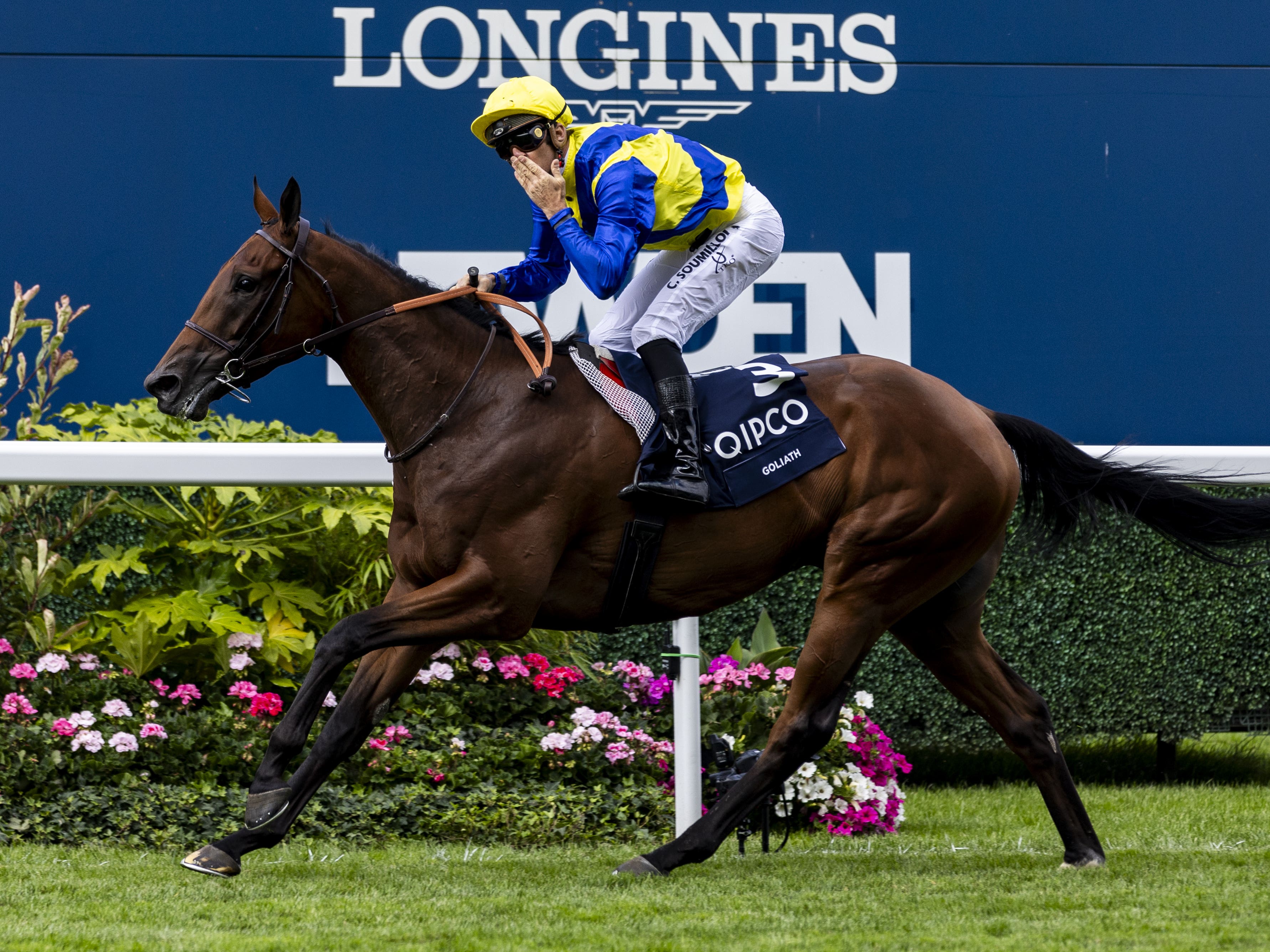 Stewart dreaming of Royal Ascot glory with Goliath