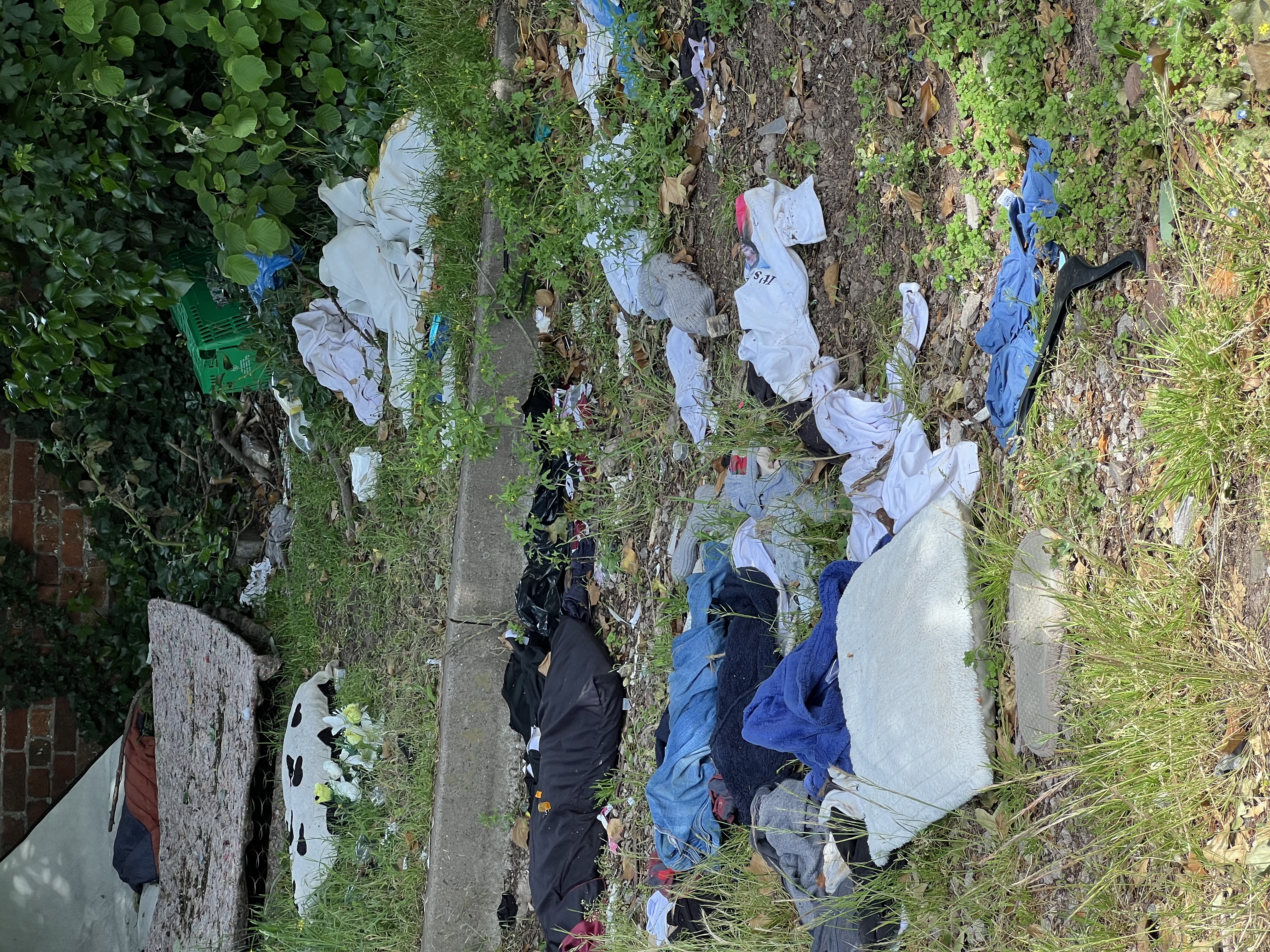 ‘They are not where we want them to be’: Dudley Council leader admits neighbourhoods are looking messy