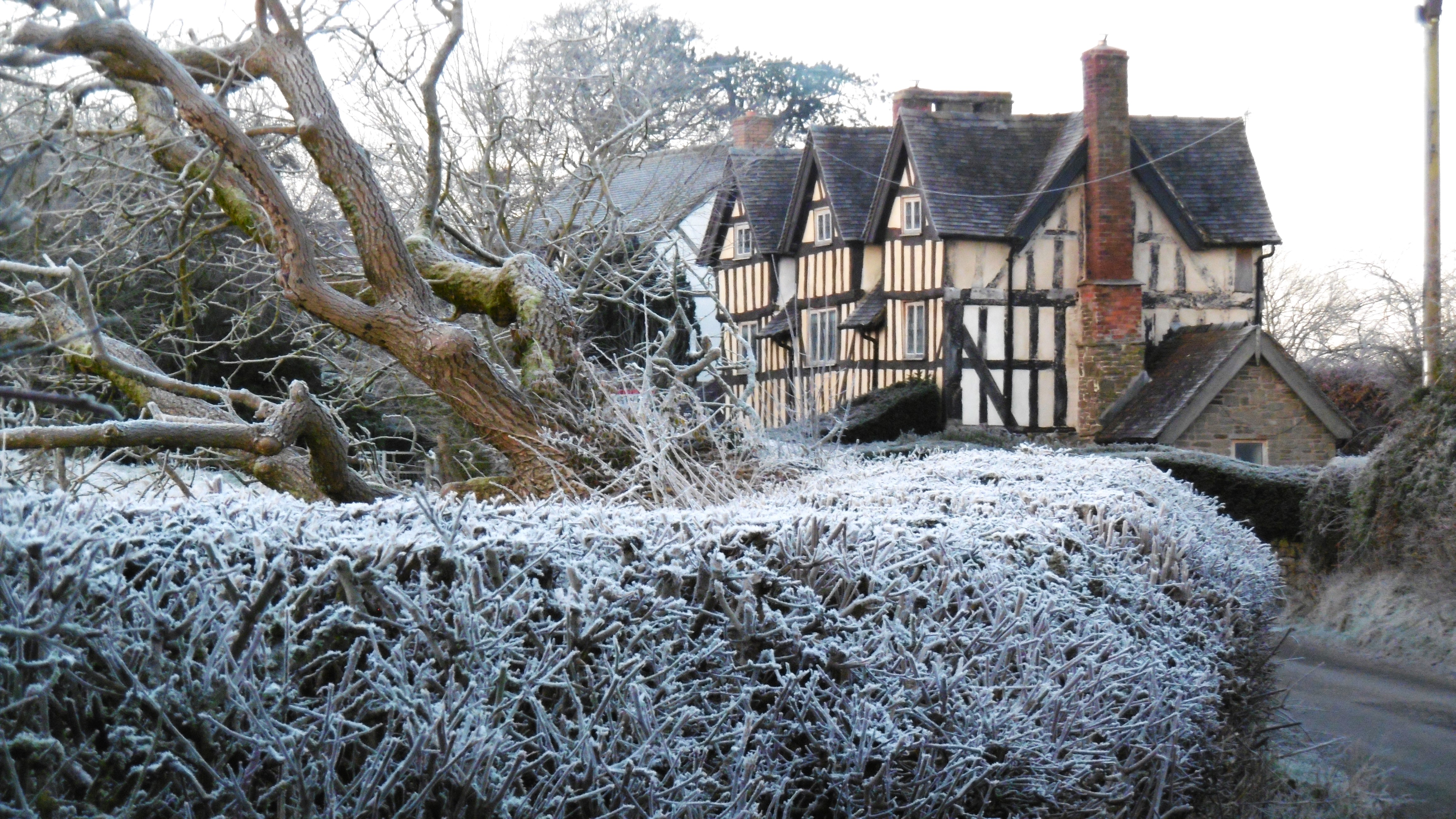 Could snow hit the West Midlands this February? Met Office reveals ...